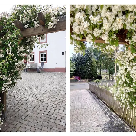By Aenny * Meisburg